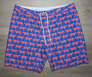 Strong Boalt Shorts Mens Blue Red Tiger Print Swim Trunks Size 40 Drawstring